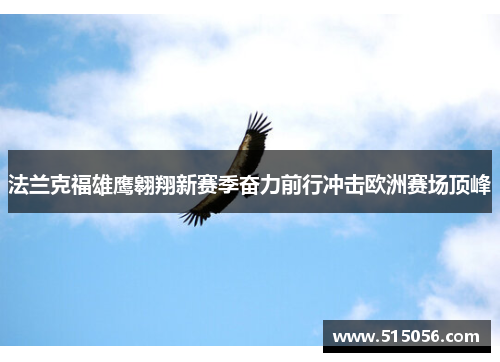 法兰克福雄鹰翱翔新赛季奋力前行冲击欧洲赛场顶峰