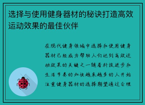 选择与使用健身器材的秘诀打造高效运动效果的最佳伙伴