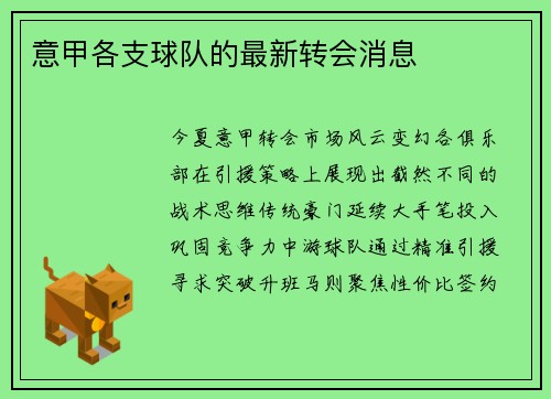 意甲各支球队的最新转会消息